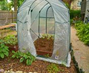 greenhouse frostproofing raised garden beds.jpg from ls show 7 nude jpg