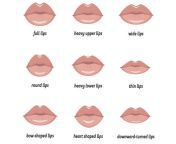 various types of woman lips 1024x1024 jpgv1597415550 from lip