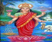 sri lakshmi devi.jpg from sree lashmi