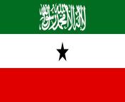 somaliland flag 121414830.jpg from somali land