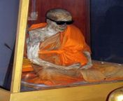 shindon monk self mummification.jpg from japanese mummification