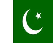 pakistan flag.png from pakstanxs