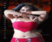 anushka 08.jpg from tamil actress anushka glamour xphotos full