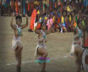 zulu reed dance ceremony.jpg from zulu ass dance clips swaziland twerk nude stage dance hot videos