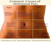 common causes of abdominal pain 1170x1262.png from painful an