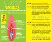 vaginas.jpg from www vagina photos com