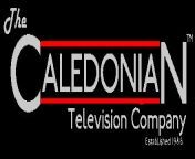 caledonian logo 2.gif from caledonian nv com caledonian
