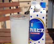 le calpis la boisson lactee dont raffolent les japonais fullwidtharticle.jpg from japanise milk