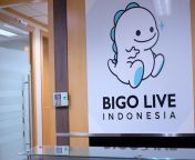 3603947395.jpg from bigo live indonesia