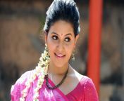 anjali actress.jpg from india bollywood acthress anjali hd