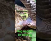 hqdefault.jpg from nag nagan sambhog sex video download