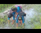 hqdefault.jpg from bangla village school xxx videoian crying indian desi brother sister sex caug