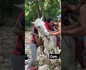 hqdefault.jpg from video kuda sama orang sexnmalayalam prone videose xxx