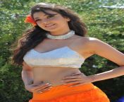 ca3b1f65d08b9800756b6c23c5dd51c9 full.jpg from kajal agarwal actress latest nude pics jpg