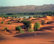 149.jpg from mauritani