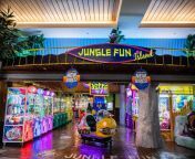 cover zds 5891.jpg from jungle fun