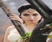 tamanna38.jpg from 13 tamil actress tamanna tullu tamil actress shanthi hot bed scene