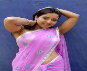 tollywood hot actress preethi mehra pink saree navel show photos actressinhotsareephotos blogspot com 75.jpg from toliwood actress belly photose