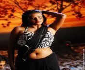 actress priyamani hot belly button shwow hip show navel pictures stills images spicy hot actress actressnaval blogspot com.jpg from tamil actress all hot hip sex scenes porn video