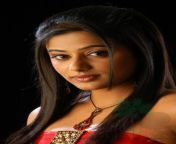 priyamani 69 392009120910321.jpg from priya main tamil actress sir deviamil sixvideo freedownload indian lover