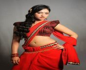 sexy and hottest indian celebrities in saree 8.jpg from indian celebla
