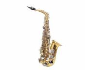 golden alto saxophone 500x500.jpg from meerut sax