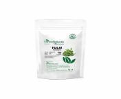 organic tulsi ocimum sanctum powder 100gm 500x500 jpeg from kerala tulsi number