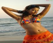 rinku gosh23.jpg from nude south indian actress hairy sex standing images