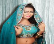 pamela mehta photo shoot photos2606141125 04.jpg from rajasthani and marwadi hot sexy nude nangionia gandhi xxx photo xxx com karena kap