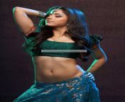 aparna bajpai hottest navel show 6.jpg from exposure of desi actress in hot masala song fsiblog com mp4 jpg