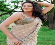 ragini dwivedi hot in saree 01.jpg from kannada actress priyanka trivedi hot ww xxx lma