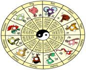 chinese zodiac girs by mastaazumarek.jpg from china 12 yers first