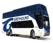greyhound bus with new logo.jpg from bus sa