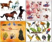 حيوانات و طيور.jpg from حيوانات ينيكي