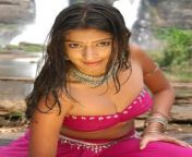 lakshmi rai.jpg from tamil actress meera jasmine sex videoa vodeo sex vod xxx video grl