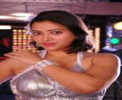 actress sweta basu prasad latest hot photo gallery in shorts celebsnext 0004.jpg from tamil actress swetha basu xxx