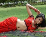 saira bhanu hot navel show in saree stills 3.jpg from nude saira bhanu mallu actress