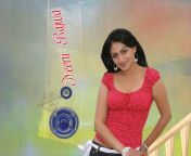 neeru bajwa wallpapers 4.jpg from punjabi actress neeru bajwa hot naked boobs nipples jpg dirty pi