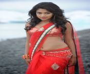 actress amala paul spicy navel show stills red saree 3.jpg from tamil actress hot amalapol xxxx images