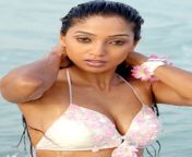 suman ranganathan bikini pictures 4.jpg from suman sexy mms in bathing xxx sex indian hit