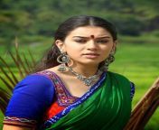 tamil movie aranmanai actress hansika motwani stills 1.jpg from tamil actress hashka