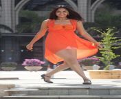tamil actress sunaina spicy stills 2.jpg from sunaina nude fake actress peperonity sexmantha without dress sex ph