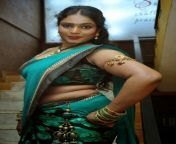 actress jayavani hot photos minugurulu audio launch stills 2.jpg from tamil aunty jayavani