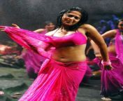 tamil actress anushka hot in saree w358 h500.jpg from tamil actress anushka sex videoone a to zা চুদাচুদি sex www com
