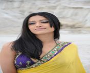 tollywood actress mamatha mohan das hot yellow saree pics actressinhotsareephotos blogspot com 15.jpg from malyalamse