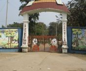 48464593.jpg from jamalpur serpur nalitabari modutila ekko park x videos