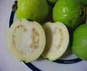 guavas grown in the backyard sliced thnc.jpg from 维加斯国际开户→→yaoji net←←维加斯国际开户 thnc