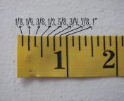 ruler.jpg from 10 inch long land sex negro video fock