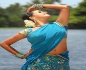 bhavana hot in puthiya thalapathi stills 11.jpg from bhavana sexy navel on hollywood sexy list with mobile numbers from mumbay and dehli jpg