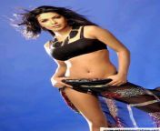 priyanka chopra spicy 281229.jpg from bollywood actress prinka chopra sexy vid